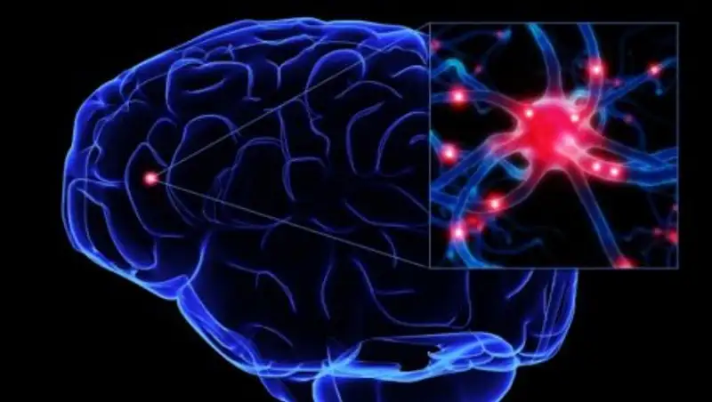 Учёные заставили клетки мозга расти в нужном направлении