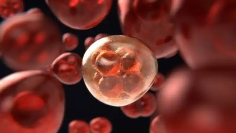 Чем могут болеть дети курильщиков