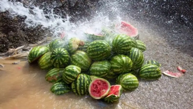 В Астане уничтожили 20 тонн арбузов