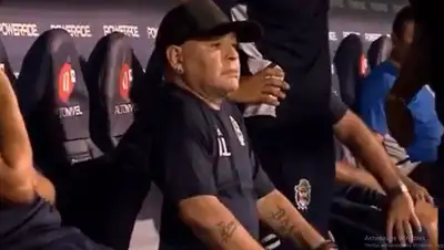 кадр из видео, фото - Новости Zakon.kz от 20.02.2020 15:11