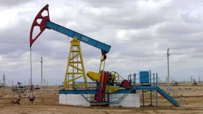 Премьер ответил на депутатский запрос о загрязнении подземных вод на юго-западе РК