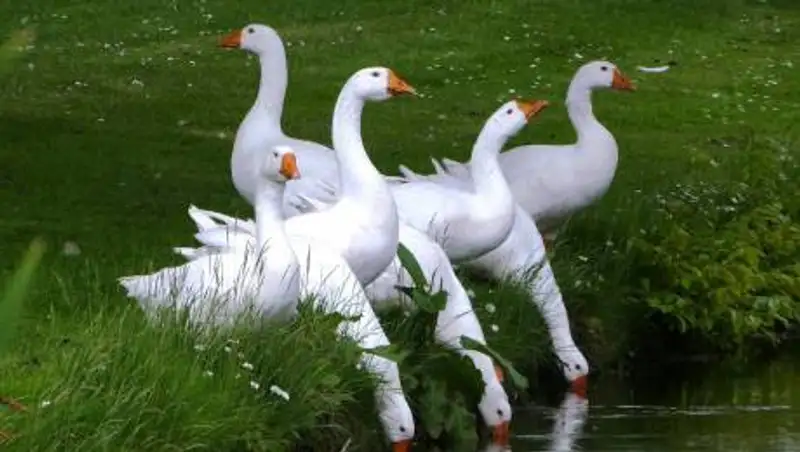 Какая погода ожидает казахстанцев 4 июля