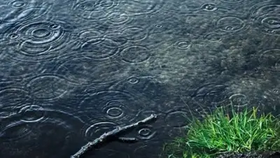 Rustelegraph, фото - Новости Zakon.kz от 02.07.2018 09:19