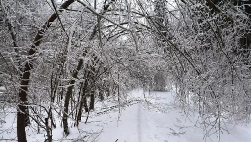 В ближайшие три дня на севере прогнозируют снегопады, на юге проливные дожди