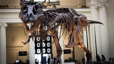 скелет, фото - Новости Zakon.kz от 05.07.2022 23:46