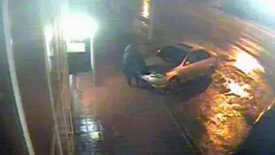 Zakon.kz, фото - Новости Zakon.kz от 01.03.2017 00:18