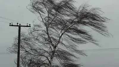 Zakon.kz, фото - Новости Zakon.kz от 19.10.2016 12:34