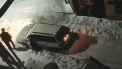 Instagram, фото - Новости Zakon.kz от 29.01.2020 11:04