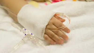 Zakon.kz, фото - Новости Zakon.kz от 05.07.2017 23:29