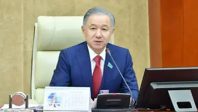 Пресс-служба Мажилиса, фото - Новости Zakon.kz от 02.12.2020 11:00