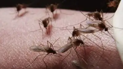 Comments.UA, фото - Новости Zakon.kz от 17.07.2018 10:20