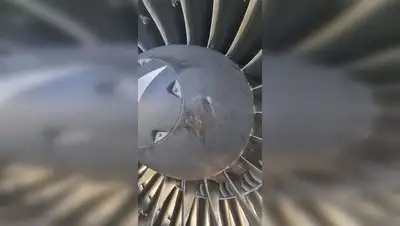 птица, фото - Новости Zakon.kz от 23.08.2022 17:59