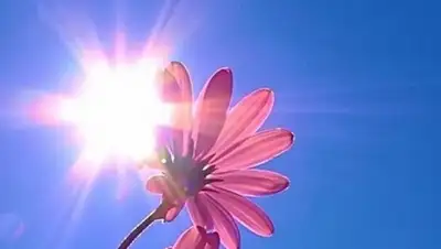 Zakon.kz, фото - Новости Zakon.kz от 28.06.2015 23:38