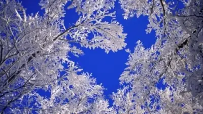 Zakon.kz, фото - Новости Zakon.kz от 17.12.2014 15:22