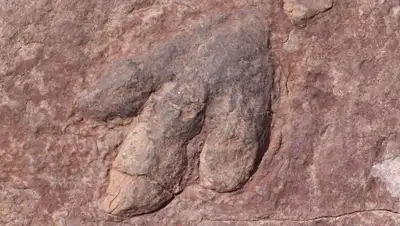 pxhere.com, фото - Новости Zakon.kz от 07.03.2019 00:39