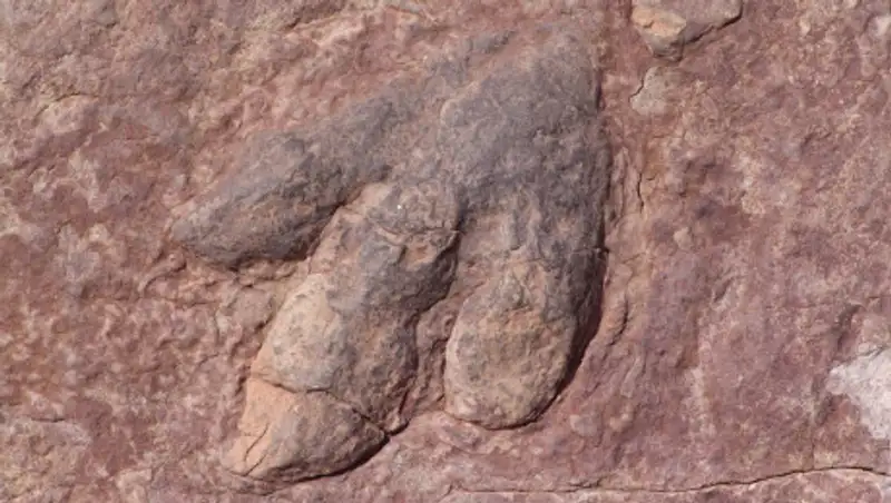 Ученые выдвинули новую версию гибели динозавров