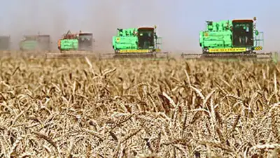 Zakon.kz, фото - Новости Zakon.kz от 04.11.2014 16:04