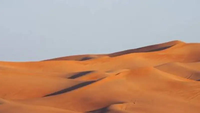 Как изменится климат в 2100 году