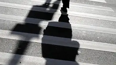 factum.kz, фото - Новости Zakon.kz от 23.08.2020 13:09