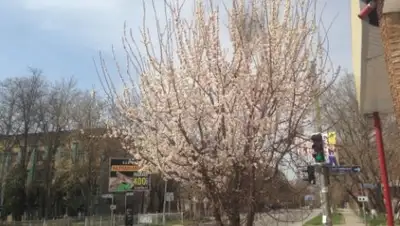 Бехрузбек Абдувалиев, фото - Новости Zakon.kz от 18.03.2018 18:12