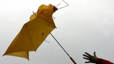 Zakon.kz, фото - Новости Zakon.kz от 21.05.2015 02:22