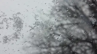 pixabay.com, фото - Новости Zakon.kz от 04.11.2019 12:36