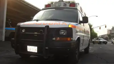 Zakon.kz, фото - Новости Zakon.kz от 03.09.2017 08:20