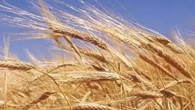 Zakon.kz, фото - Новости Zakon.kz от 17.07.2014 18:27