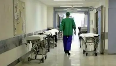 Сонариум, фото - Новости Zakon.kz от 26.02.2018 12:46