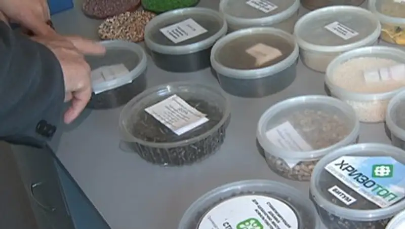 Алматылық ғалымдар асфальтті қалай шытынатпауға болатынын анықтады