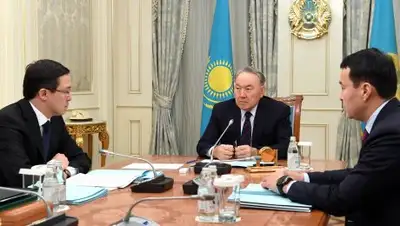 Фото: www.akorda.kz, фото - Новости Zakon.kz от 02.02.2018 13:10