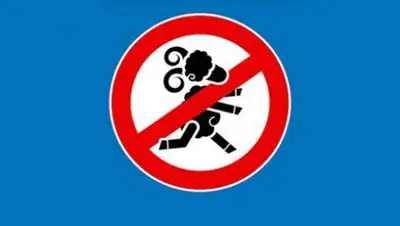 Zakon.kz, фото - Новости Zakon.kz от 12.04.2016 19:58