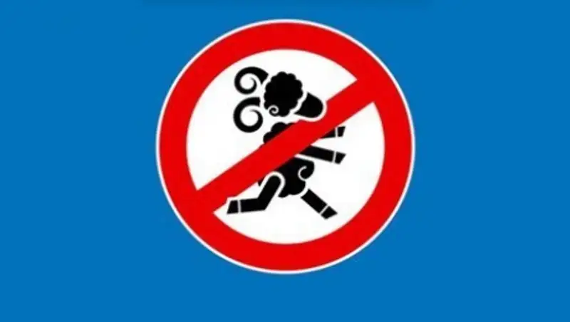 В Алматы проводится работа по профилактике ДТП с участием пешеходов