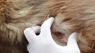 inaktau.kz. , фото - Новости Zakon.kz от 09.02.2020 10:45