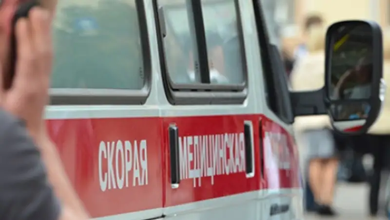 Поволжский лось стал участником ДТП