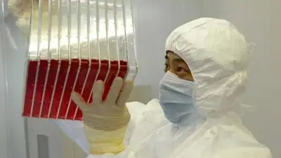 © AP Photo / Xinhua, фото - Новости Zakon.kz от 13.02.2018 12:56