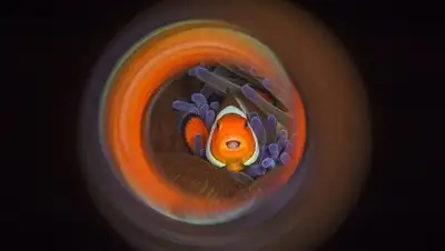 Zakon.kz, фото - Новости Zakon.kz от 03.03.2017 18:03