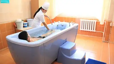 Фото с сайта koktem.info, фото - Новости Zakon.kz от 17.01.2018 13:07