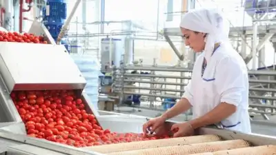 Zakon.kz, фото - Новости Zakon.kz от 27.07.2017 18:53