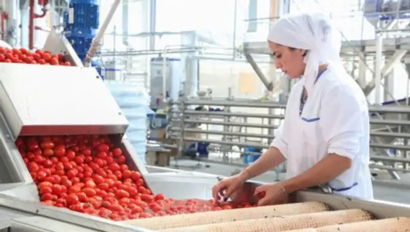 Переработка сельхозпродукции будет способствовать развитию экспортного потенциала АПК