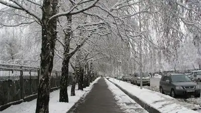 Zakon.kz, фото - Новости Zakon.kz от 27.10.2014 16:25