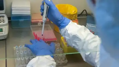 m24.ru, фото - Новости Zakon.kz от 05.04.2020 09:23