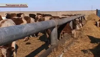 Zakon.kz, фото - Новости Zakon.kz от 03.03.2016 06:14