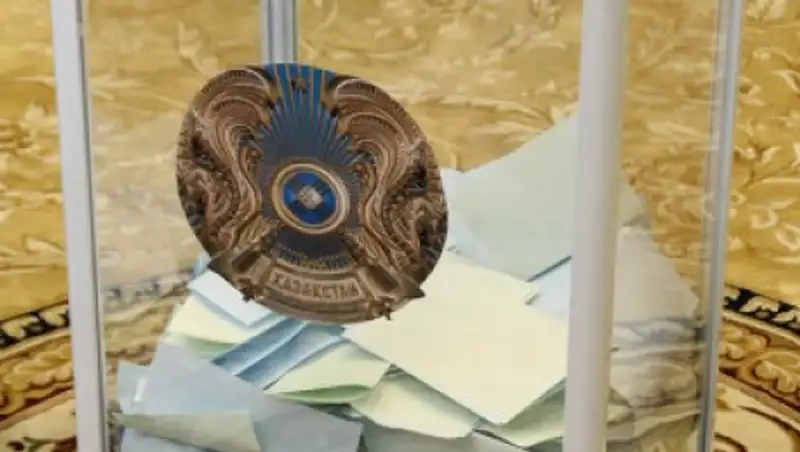 «Немыслимо то, что творится на участках!» - международные наблюдатели