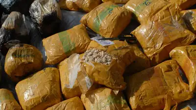 Комплексный план по борьбе с наркоманией и наркобизнесом на 2023 - 2025 годы утвердили в Казахстане, фото - Новости Zakon.kz от 11.07.2023 09:26