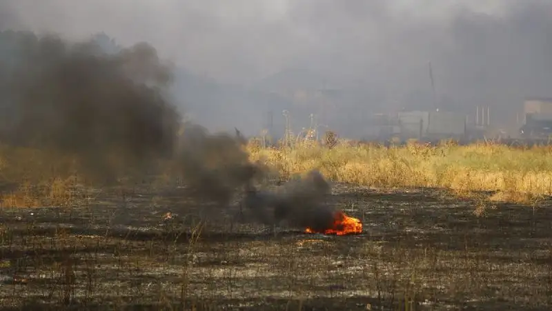 Пожар в Алматинской области, фото - Новости Zakon.kz от 28.08.2022 16:01