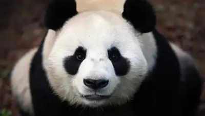 Zakon.kz, фото - Новости Zakon.kz от 20.08.2015 14:36