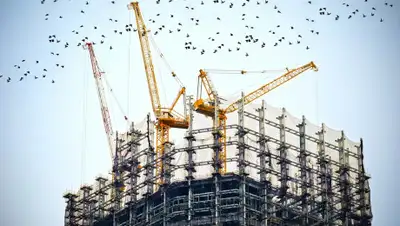 pixabay.com, фото - Новости Zakon.kz от 16.07.2019 23:07