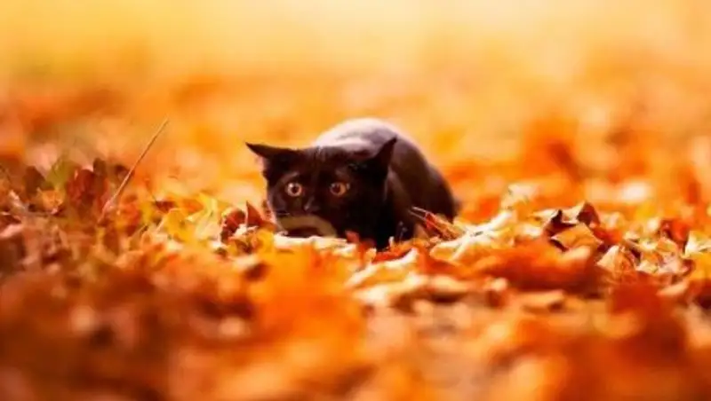 Погода без осадков сохранится на большей части Казахстана