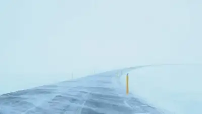 pixabay, фото - Новости Zakon.kz от 04.03.2021 07:35